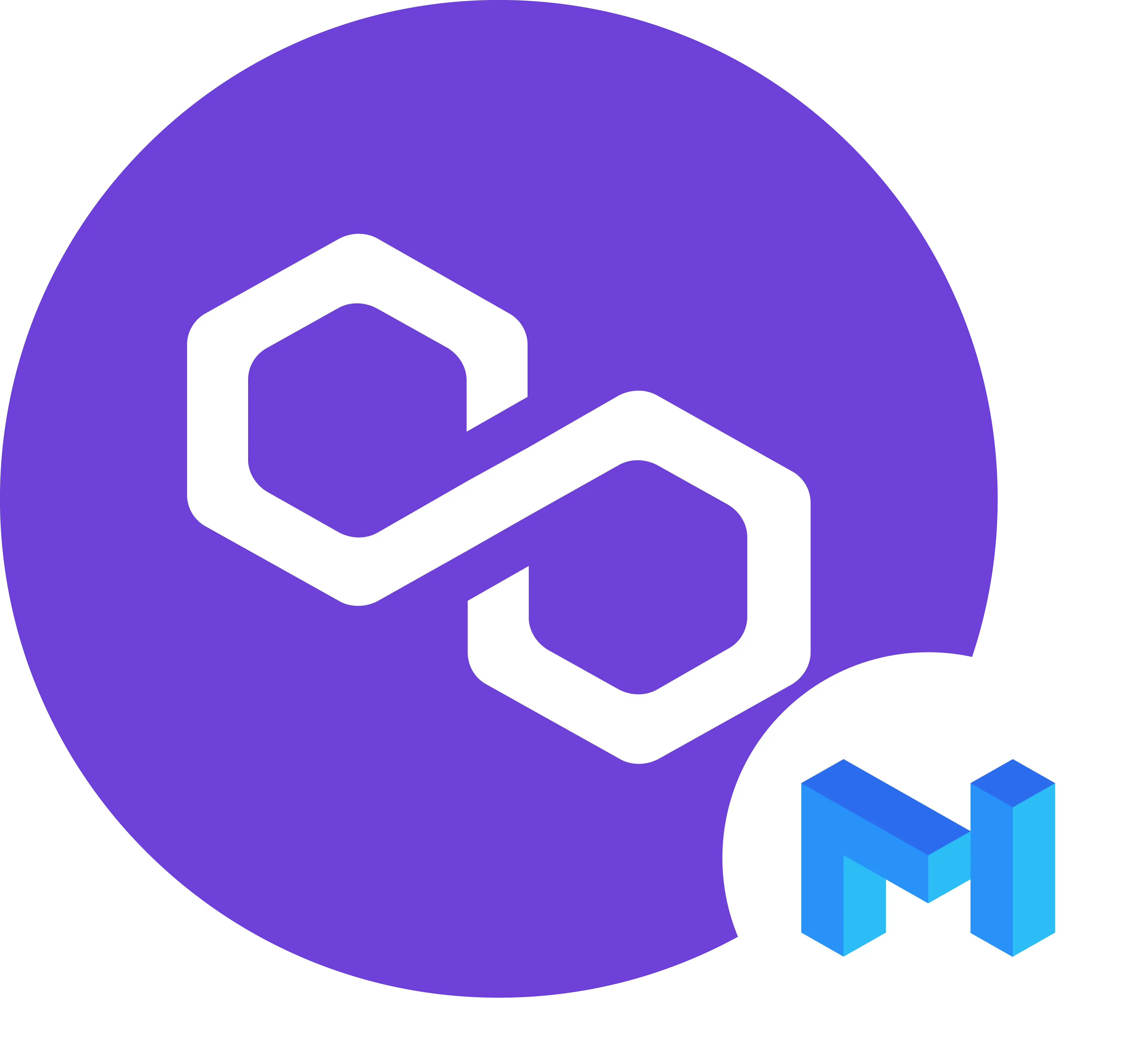 POL (matic) Token Ethereum ERC20